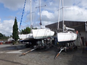 DSCF8017