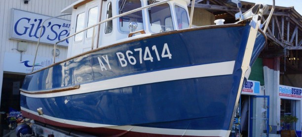 Rhéa 6.50