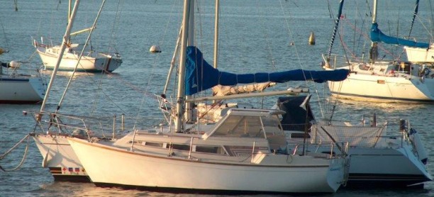 Evasion 25