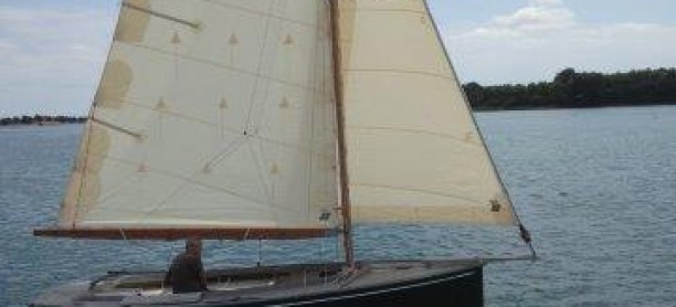Grand Cormoran de 2007