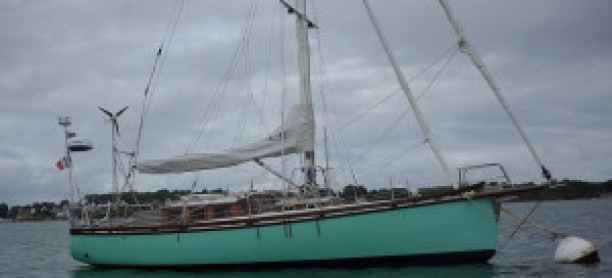 HALIOTIS 38