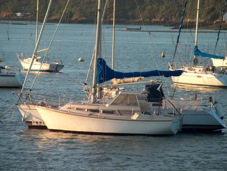 Evasion 25