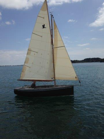 Grand Cormoran de 2007