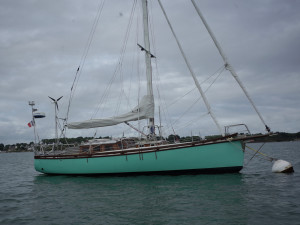 HALIOTIS 38